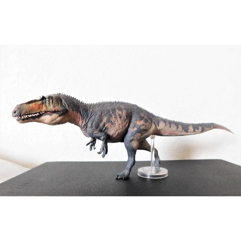 Mô hình khủng long Torvosaurus 1/35 hãng Pnso