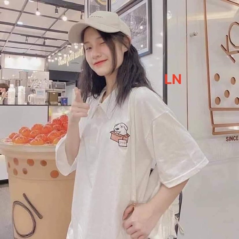 Áo polo cún trong hộp LN11