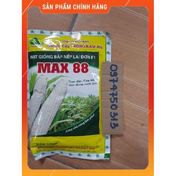 VNUA - GIỐNG NGÔ NẾP MAX 88 GÓI 100GR