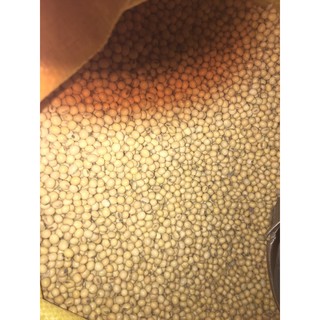Đỗ tương (Đậu nành)  Canada 500 gram - 1 kg
