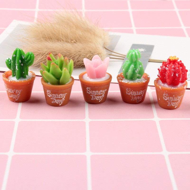 Mô hình chậu Sen Đá nhỏ làm tiểu cảnh, terrarium, nhà mô hình