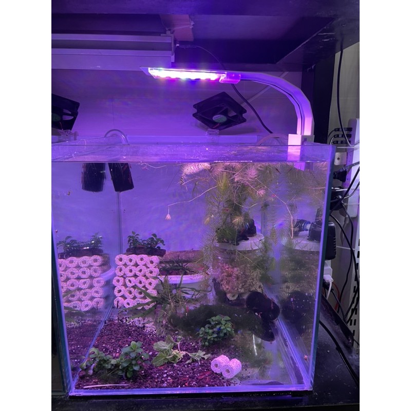 Đèn led kẹp RGB M-180 / M-280