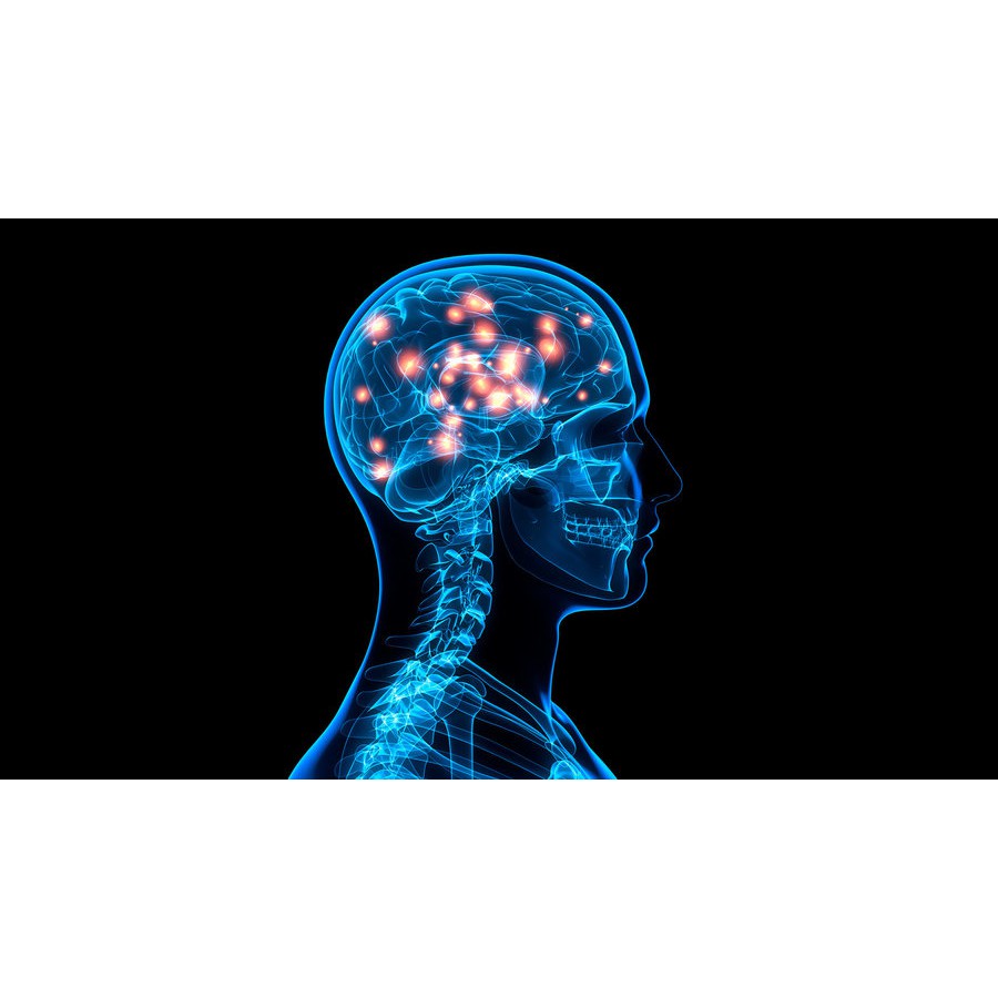 Lohha Trí Não - Hỗ trợ cho người có biểu hiện hay quên, suy giảm trí nhớ, người có nguy cơ bị Alzheimer (Hộp 30 viên)