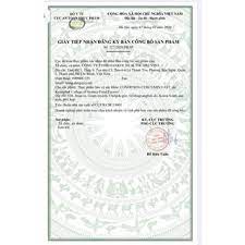 Nước Uống Tinh Nghệ CODITION CURCUMIN FAST  - Chai 100ml