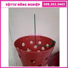 Combo 10 que kẹp chậu và 20 kẹp bướm nhỏ giữ lan (loại chưa uốn độ dài 30cm)