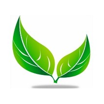 Siêu thị tại nhà