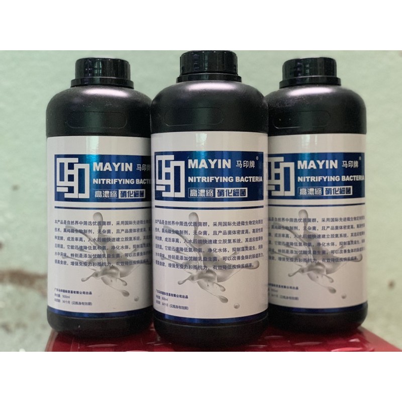 Vi sinh MAYIN chuyên dùng cho bể cá rồng 900ml