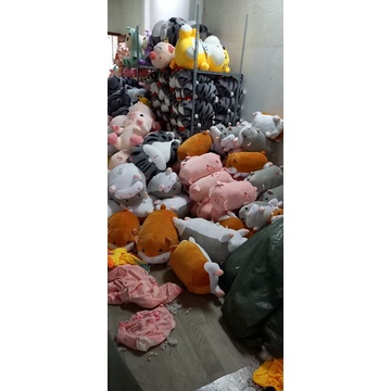 Gấu kèm chăn, chăn gối văn phòng heo hí, gấu 2in1, heo có chăn bên trong