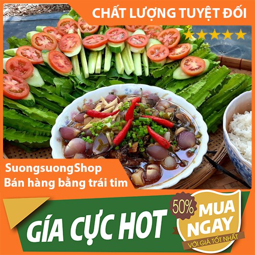 Mắm cá lóc cắt khúc Bà giáo khỏe 55555 500Gr 100% Organic Hương vị tuyệt vời Sương Sương shop