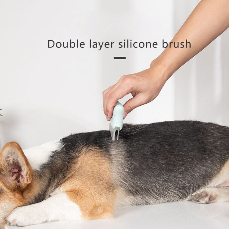 1 Lược Chải Lông Thú Cưng Chuyên Dụng Hình Chiếc Lược