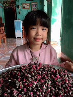 Trà nụ hoa Hồng gói Dùng thử