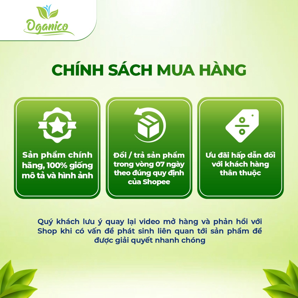 Dầu dừa tinh khiết ép lạnh hữu cơ nguyên chất Vietcoco Premium dưỡng ẩm và chăm sóc tóc, da - Oganico