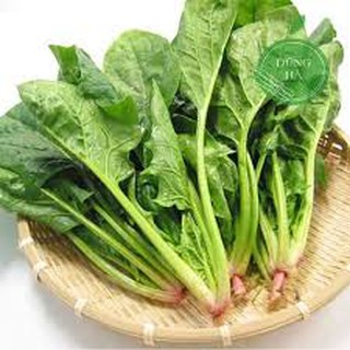 hạt giống cải bó xôi