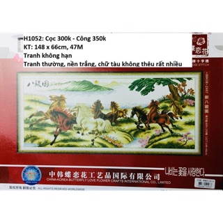 Mã đáo thành công h1052