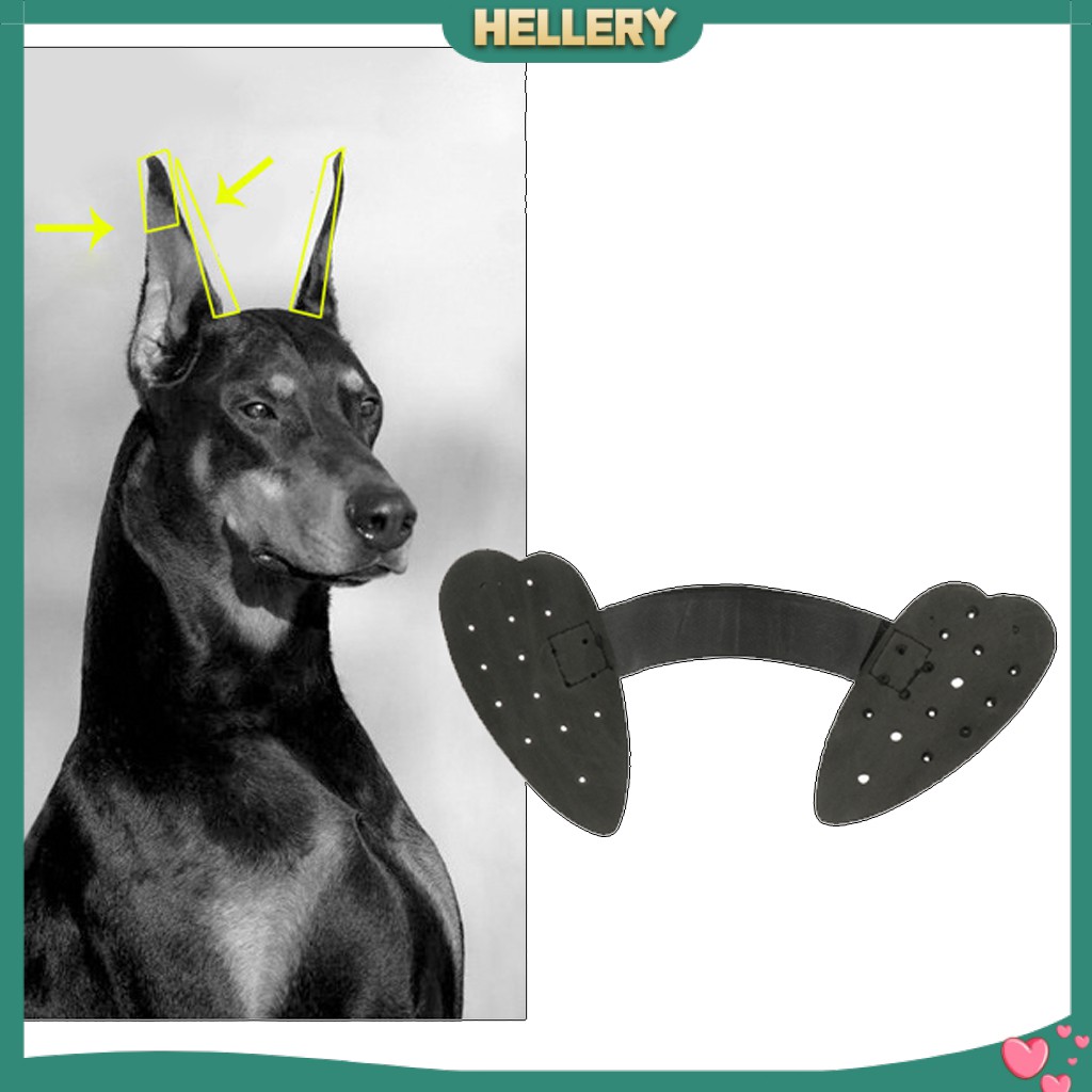 Giá Đỡ Tai Chó Lớn Chăm Sóc Cho Chó Cưng