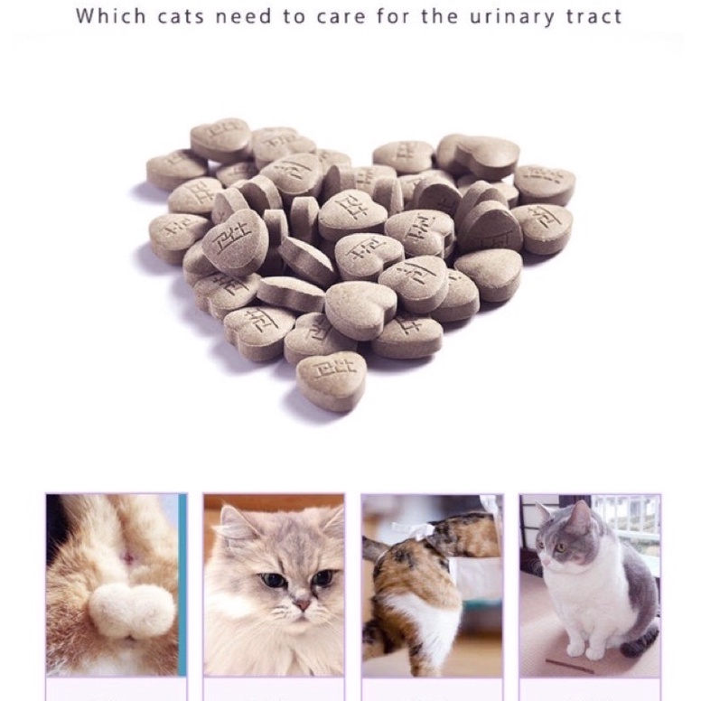 Nourse No.28 200v -Hỗ trợ thận cho mèo