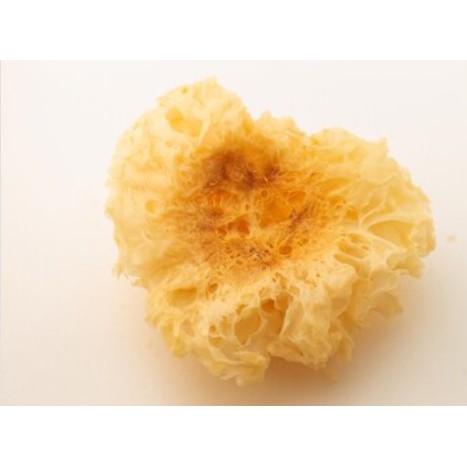 Nấm Tuyết (Ngân Nhĩ) Nguyên Bông Nhiều Chất Dinh Dưỡng Tốt Cho Sức Khỏe