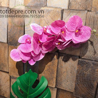 Lan Hồ Điệp - Hoa Giả Siêu Đẹp