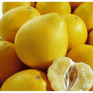 Cây giống bưởi vàng siêu ngon siêu quả- cam kêt giống chuẩn f1