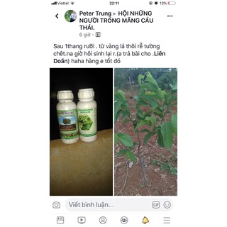NẤM ĐỐI KHÁNG TRICHODERMA BACILLUS HLC 500ML - Ủ PHÂN CHUỒNG, ĐỐI KHÁNG NẤM BỆNH, CẢI TẠO ĐẤT
