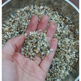 Phụ kiện trang trí bể cá: Sỏi dăm 1kg