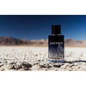 [FreeShip - deal sock] Nước hoa namSauvag e nồng độ edp dung tích 100ml hương thơm nam tính | Thế Giới Skin Care