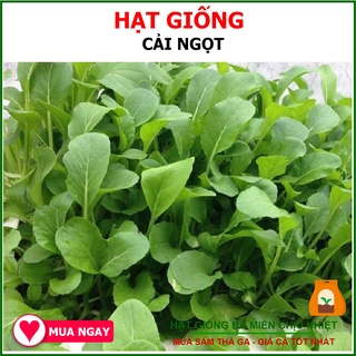 Hạt Giống Cải Ngọt Cao Sản Chịu Nhiệt Phú Nông 50Gram