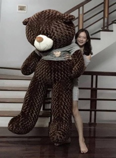 Gấu Teddy Size 1m Nâu 