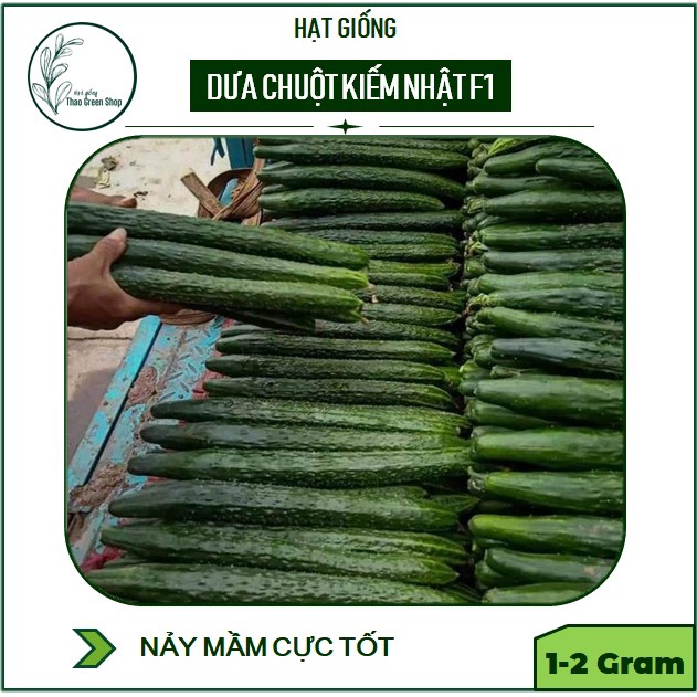 DƯA CHUỘT NHẬT HẠT LÉP F1