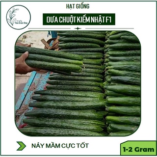 DƯA CHUỘT NHẬT HẠT LÉP F1