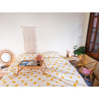 Bộ chăn ga poly con sư tử nhỏ