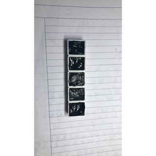 Màu chiết 2ml 4 mã Daniel Smith
