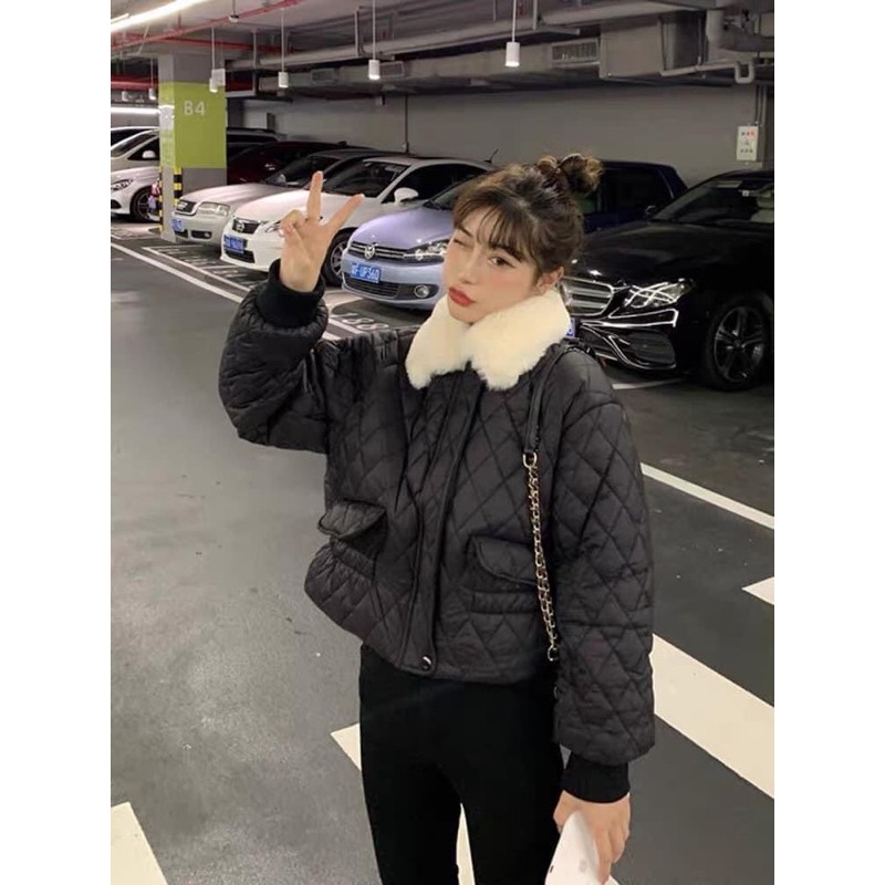 Áo Phao Trám Cổ Lông, Áo Phao Siêu Nhẹ Có Ảnh Thật Kèm Video | BigBuy360 - bigbuy360.vn