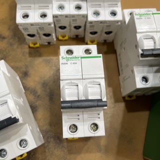 Attomat 2 cực A9K Schneider