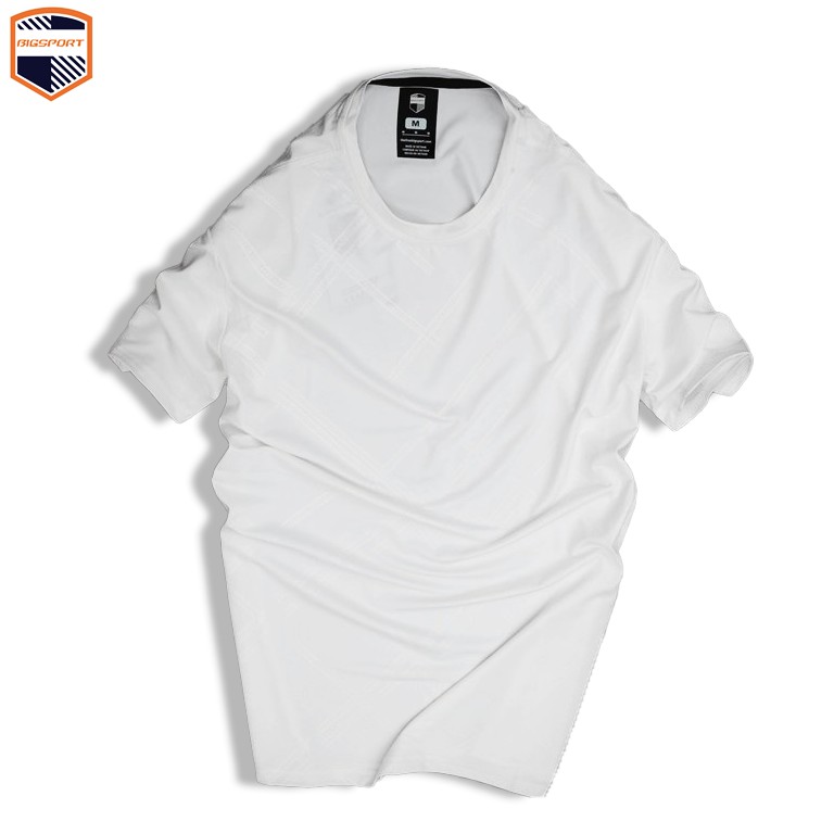 Áo Thun Nam Thể Thao Form Regular Unisex Trơn Basic Cổ Tròn Vải Poly Thun Lạnh Cao Cấp - Big Sport, BS00 | BigBuy360 - bigbuy360.vn