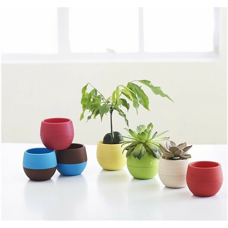 Chậu Trồng Hoa Mini Màu Trơn Dùng Trang Trí Nội Thất