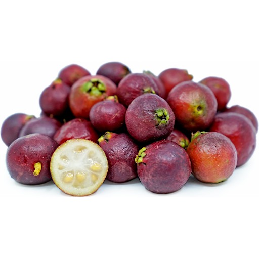 Cây giống Ổi Sim Nhật (Ổi dâu tây đỏ, Strawberry Guava) - quả màu đỏ mận, vị chua ngọt, ngâm rượu rất ngon, trị bệnh mất