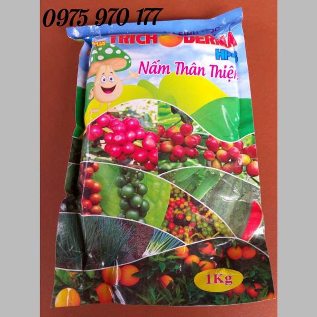 Nấm TRICHODERMA gói 1kg