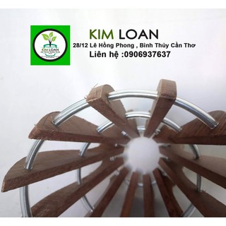 Combo 2 chậu lan gỗ hình ly 18x18cm