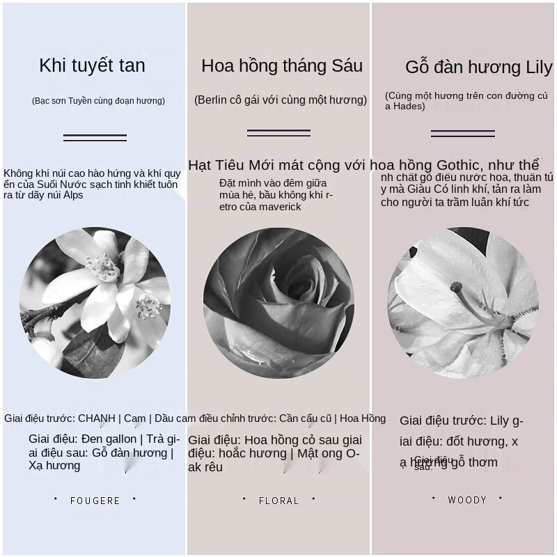 Kem dưỡng da tay ROOPY Dưỡng ẩm Giữ ẩm không nhờn Làm trắng và sảng khoái Kem bôi tay