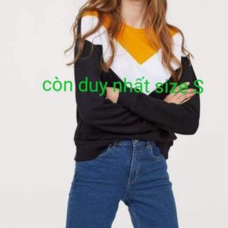 Áo nỉ hãng hm