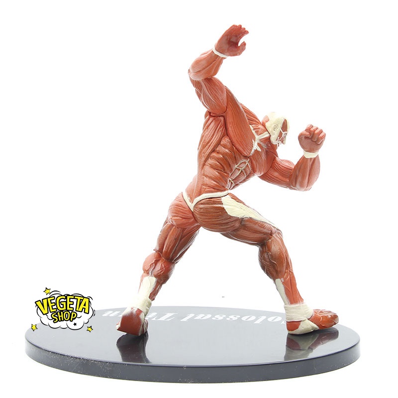 Mô hình Attack On Titan - Titan khổng lồ Colossal Titan - Armin Arlert Bertolt Hoover - Đại chiến Titan - Fullbox - 17cm