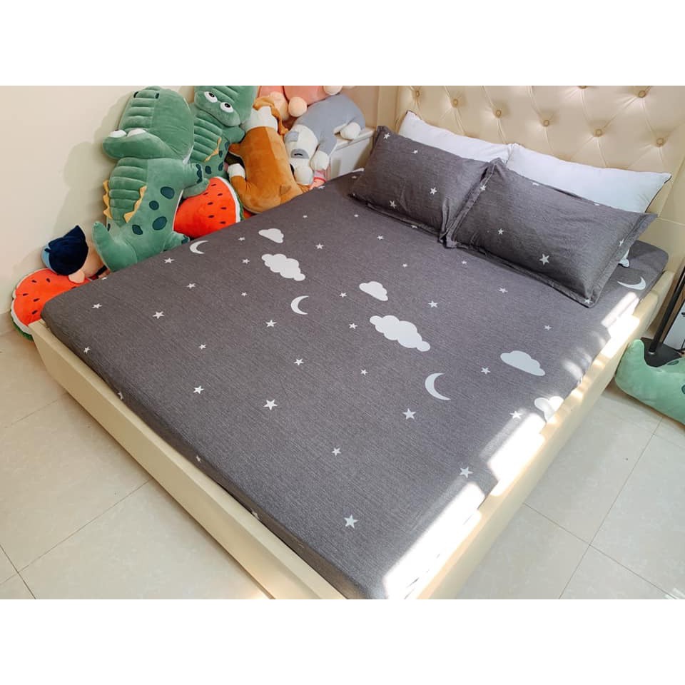 Bộ ga gối 1m6 cotton poly nhập khẩu loại 1(mẫu 01)