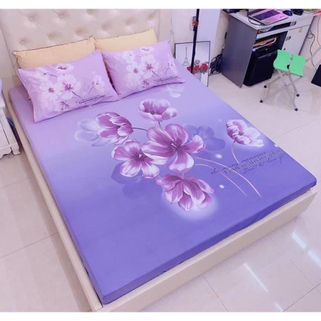 Bộ Ga Gối Cotton TiCi 3D Nhập Khẩu Cao Cấp Set Ga Gối Đủ Size Mềm Mại Không Xù