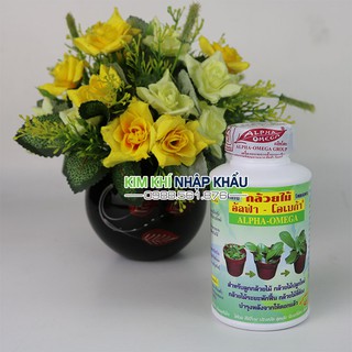 Thuốc kích mầm cho lan Alpha Omega hàng Thái Lan lọ 200g - T139