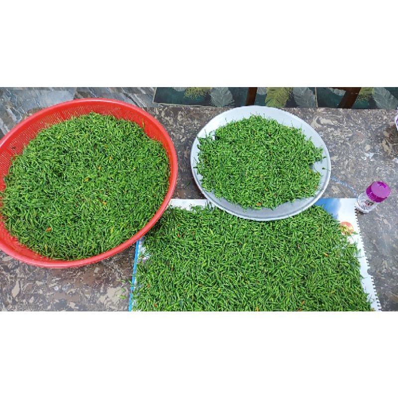 Ớt gió ngâm muối 1kg