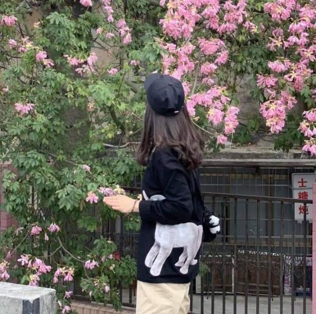 Áo nỉ nelly ngựa