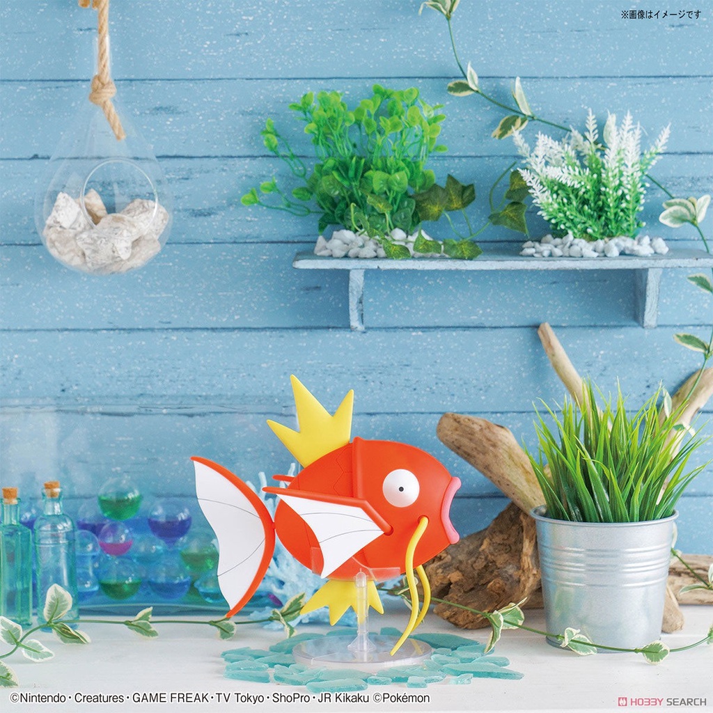 Mô Hình Bandai Pokepla Big 01 Magikarp