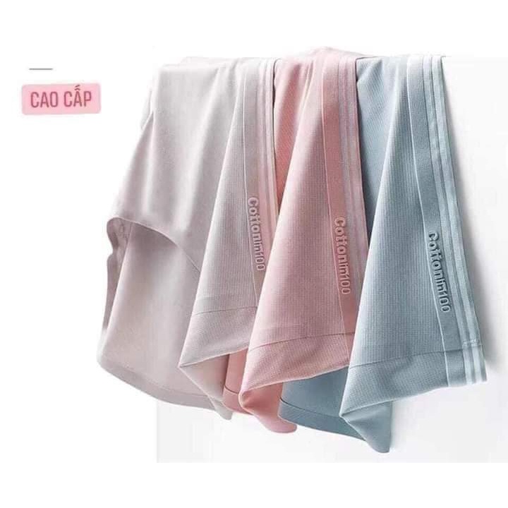 Quần lót nữ Cotton Không Đường May Kháng Khuẩn Thoáng Mát HQL03