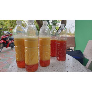 1 lít mật ong rừng u minh